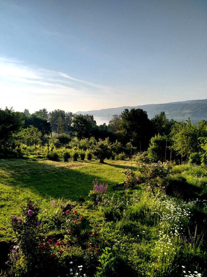 SEENAH - Ihre Wohnung am Bodensee / Untersee Gaienhofen  Exterior foto